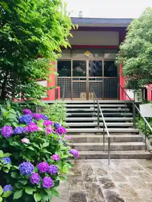 龍眼寺（萩寺）の本殿・本堂