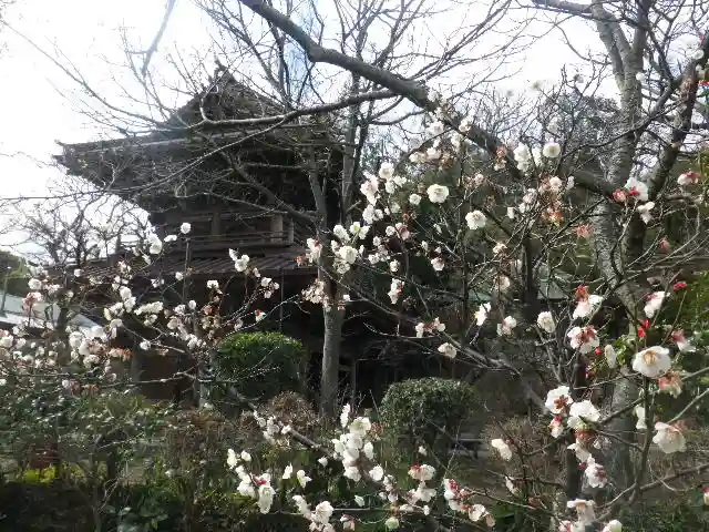英勝寺のその他建物