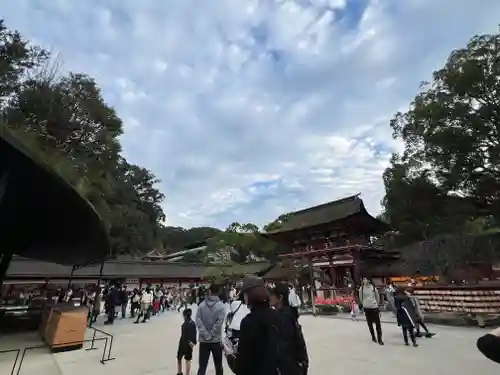 太宰府天満宮(福岡県)