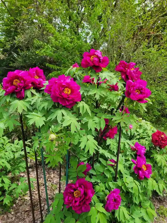 隆国寺(兵庫県)