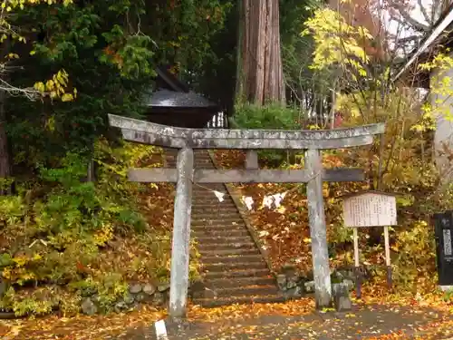 戸隠神社火之御子社の鳥居