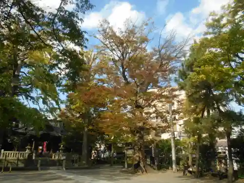 亀岡八幡宮（亀岡八幡神社）(神奈川県)