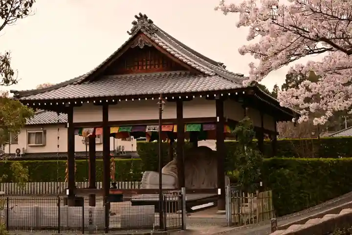 高昌寺(愛媛県)