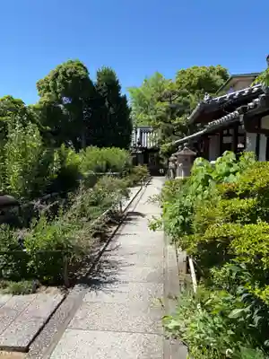 東光院の庭園