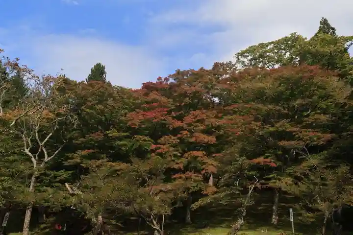 土津神社|こどもと出世の神さまの庭園