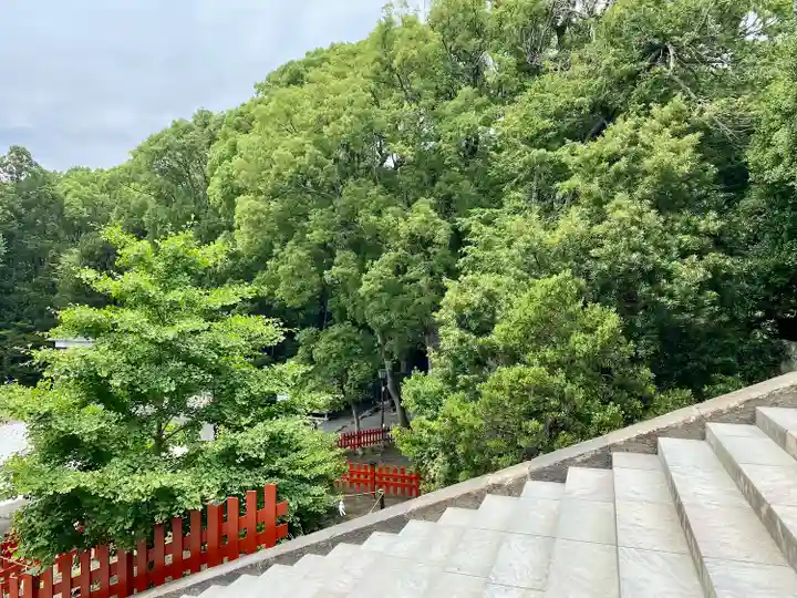 鶴岡八幡宮(神奈川県)