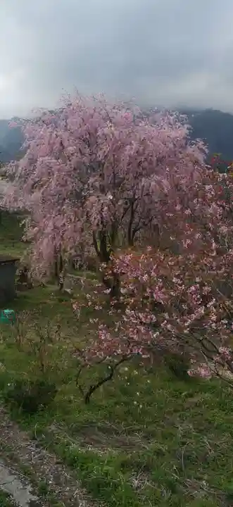 西善寺(埼玉県)