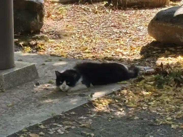 大垣大神宮(岐阜県)