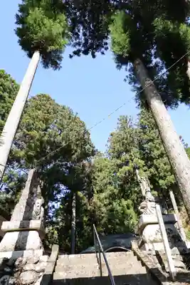 養澤神社(東京都)
