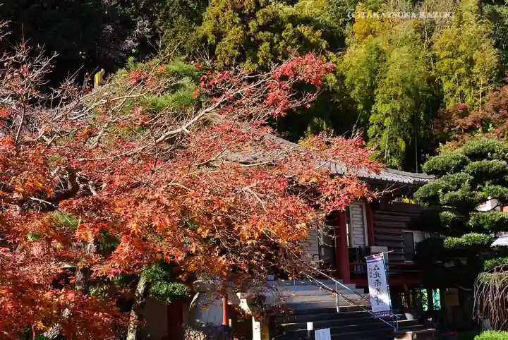 北條寺(静岡県)