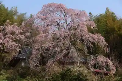 瑞雲寺(福島県)