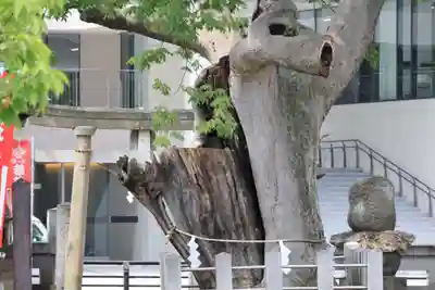 阿邪訶根神社の鳥居
