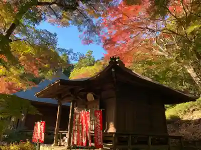 普門寺(切り絵御朱印発祥の寺)(愛知県)