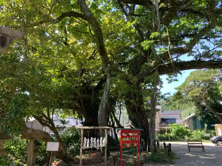 野島神社の自然