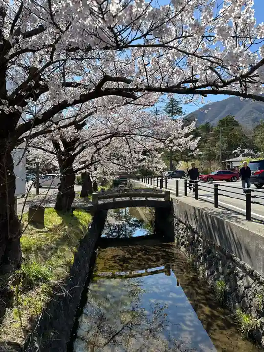 彌彦神社の周辺
