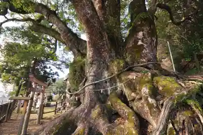 須賀神社(高知県)