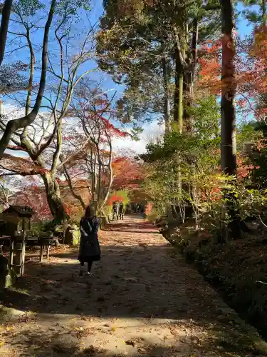 国宝　長寿寺(滋賀県)