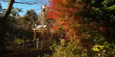 平野神社のその他建物
