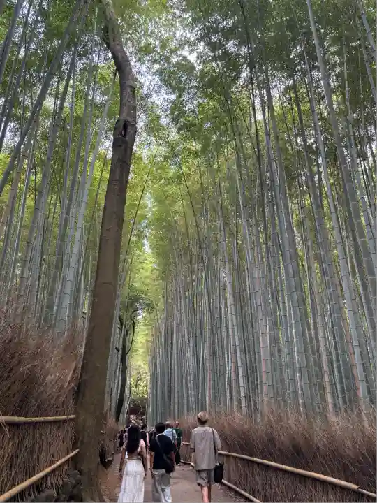 御髪神社の周辺