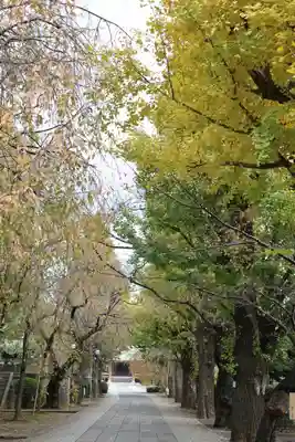 吉祥寺(東京都)