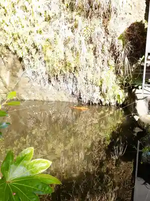 銭洗弁財天宇賀福神社の{uncategorized: "未分類", other: "その他", undefined: "問題あり", building: "その他建物", grave: "お墓", sacred_gate: "鳥居", guardian: "狛犬", statue: "像", buddha: "仏像", history: "歴史", nature: "自然", garden: "庭園", animal: "動物", pagoda: "塔", temizu: "手水舎", mountain_gate: "山門・神門", sanctuary: "本殿・本堂", subordinate: "末社・摂社", art: "芸術", scenery: "景色", jizo: "地蔵", ema: "絵馬", goshuin: "御朱印", omikuji: "おみくじ", items: "授与品その他", amulet: "お守り", goshuincho: "御朱印帳", eats: "食事", festival: "お祭り", votive_dance: "神楽", shichigosan: "七五三参", wedding: "結婚式", experience: "体験その他", initially: "初詣", around: "周辺", anti_infection: "感染症対策"}