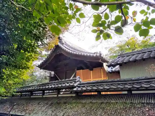 神明社（谷田神明社）の本殿・本堂