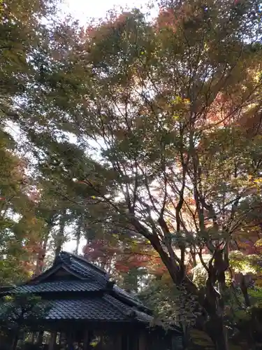 教林坊(滋賀県)