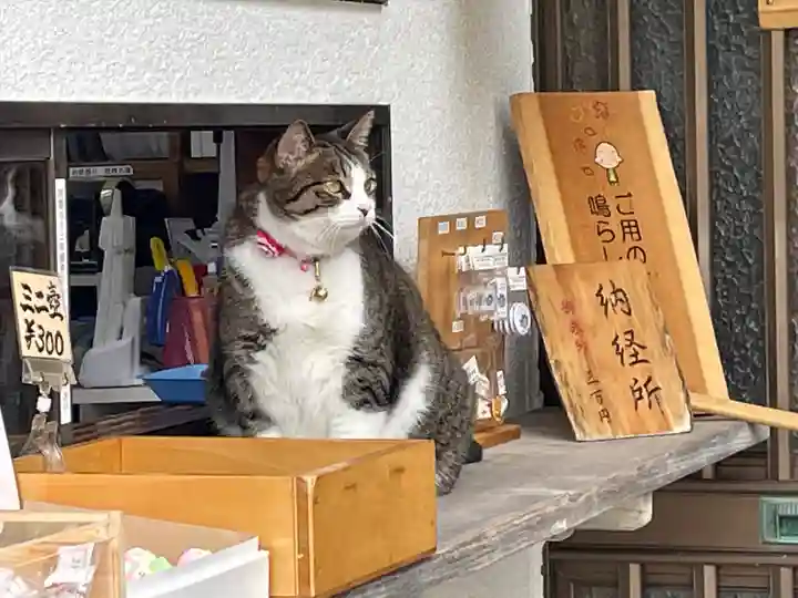 満福寺の動物