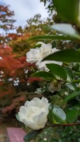 霊鑑寺門跡(京都府)