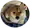 かっつ