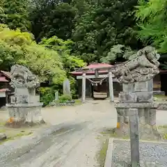 古殿八幡神社の狛犬