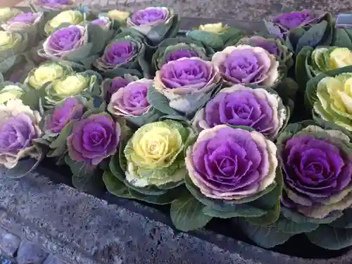 上目黒氷川神社(東京都)
