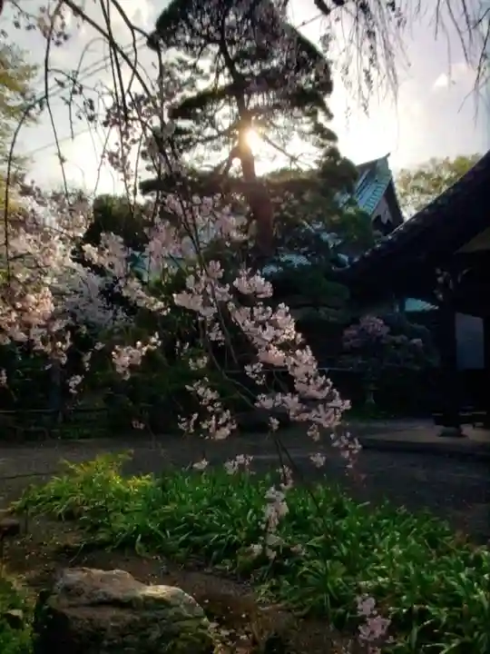 龍光寺(東京都)