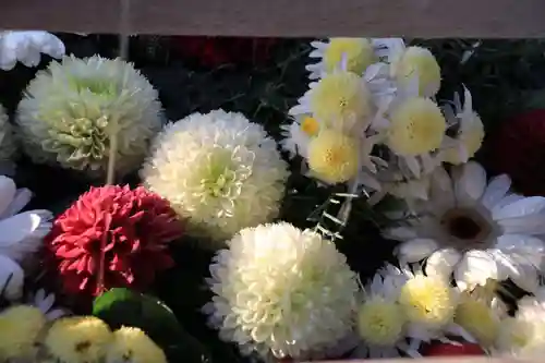 豊景神社の手水