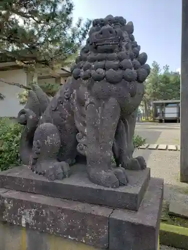 福井神社の狛犬