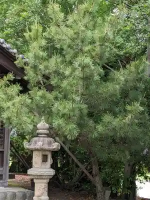 八幡社(落合八幡社)(愛知県)