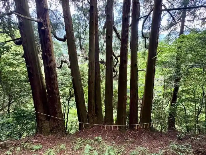 天岩戸神社の{uncategorized: "未分類", other: "その他", undefined: "問題あり", building: "その他建物", grave: "お墓", sacred_gate: "鳥居", guardian: "狛犬", statue: "像", buddha: "仏像", history: "歴史", nature: "自然", garden: "庭園", animal: "動物", pagoda: "塔", temizu: "手水舎", mountain_gate: "山門・神門", sanctuary: "本殿・本堂", subordinate: "末社・摂社", art: "芸術", scenery: "景色", jizo: "地蔵", ema: "絵馬", goshuin: "御朱印", omikuji: "おみくじ", items: "授与品その他", amulet: "お守り", goshuincho: "御朱印帳", eats: "食事", festival: "お祭り", votive_dance: "神楽", shichigosan: "七五三参", wedding: "結婚式", experience: "体験その他", initially: "初詣", around: "周辺", anti_infection: "感染症対策"}