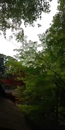 出雲大神宮の自然