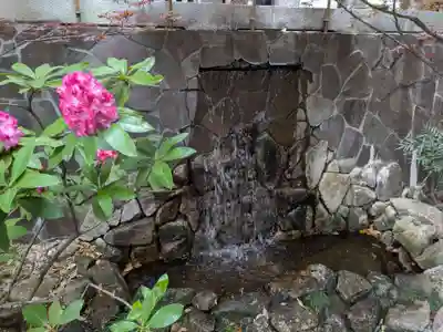 東京大神宮(東京都)