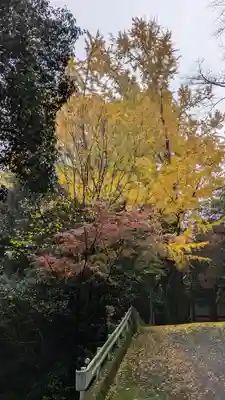 観音寺（山崎聖天）(京都府)