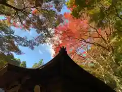 普門寺(切り絵御朱印発祥の寺)(愛知県)