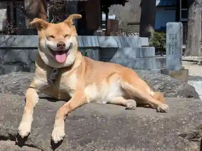 常幸院(山梨県)