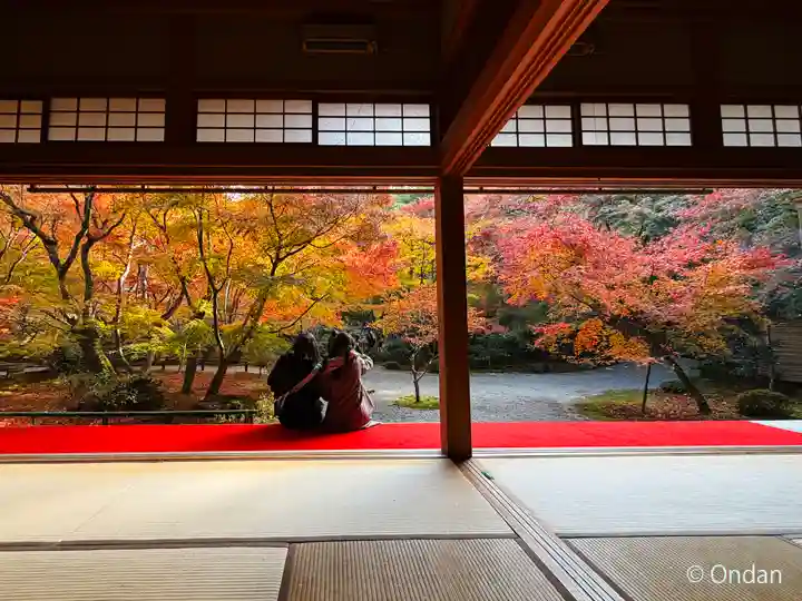 圓光寺(京都府)