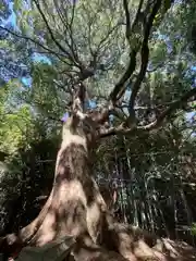 天降神社(福岡県)