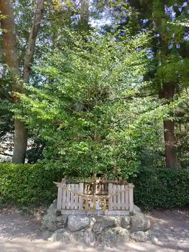 波瀬神社(三重県)