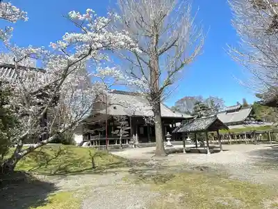 本誓寺(東本誓寺)(滋賀県)