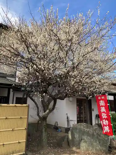 能満寺(神奈川県)
