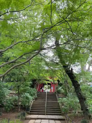 本土寺の山門