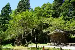 磐椅神社の自然