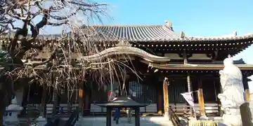 圓福寺の本殿・本堂